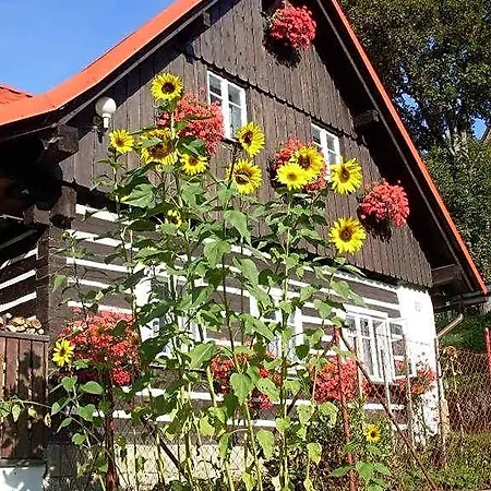 U Studanky Rokytnice nad Jizerou